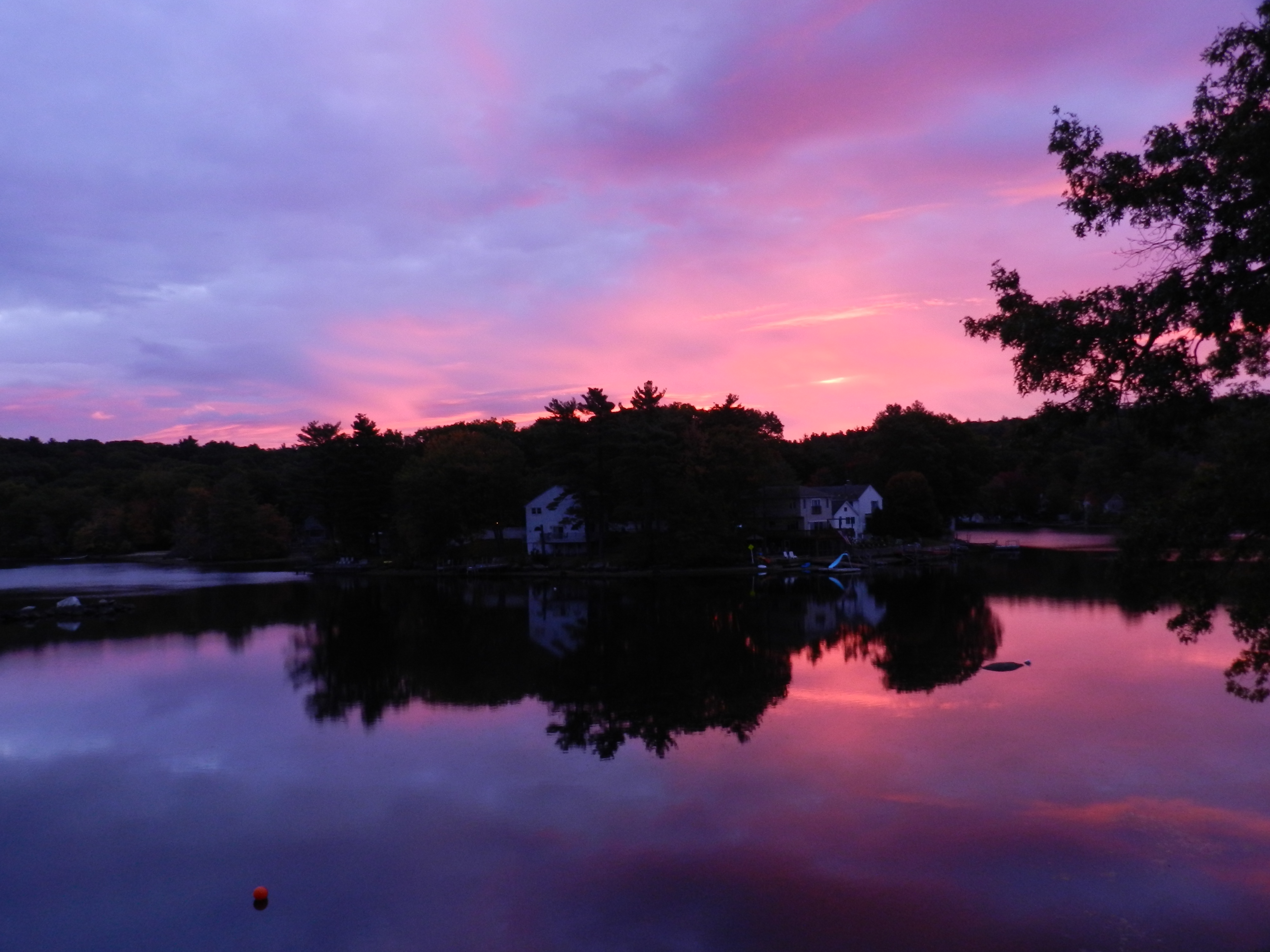 pink skies